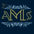Alt=adam Stone Magic Logo